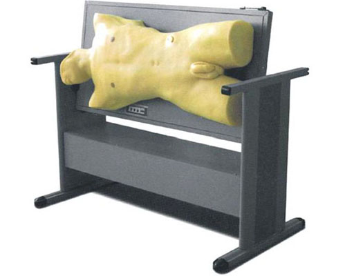 理工醫學(xué) 綜合穿刺術(shù)與叩診檢查技能訓練模型